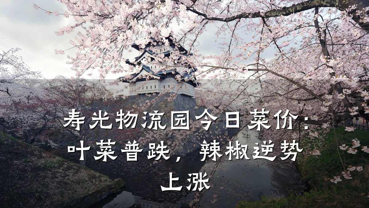 寿光物流园今日菜价：叶菜普跌，辣椒逆势上涨