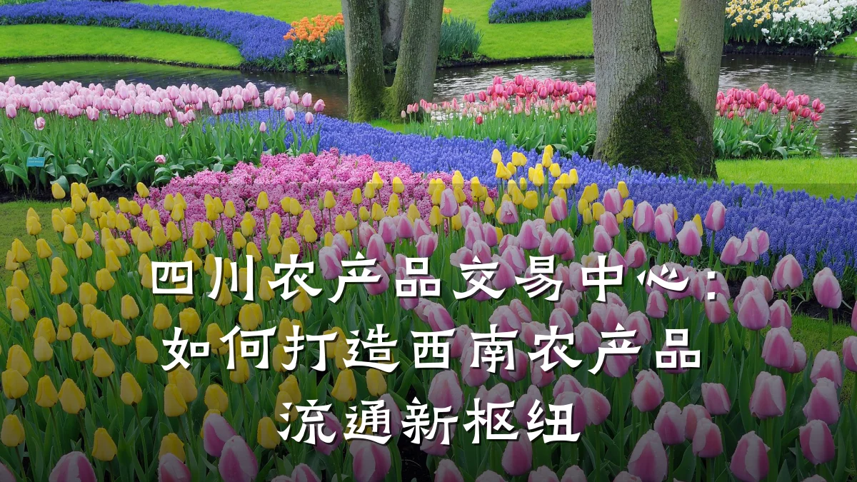 四川农产品交易中心:如何打造西南农产品流通新枢纽