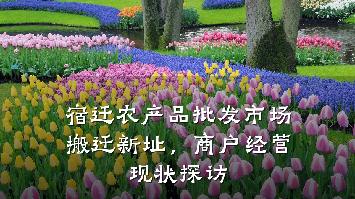宿迁农产品批发市场搬迁新址,商户经营现状探访
