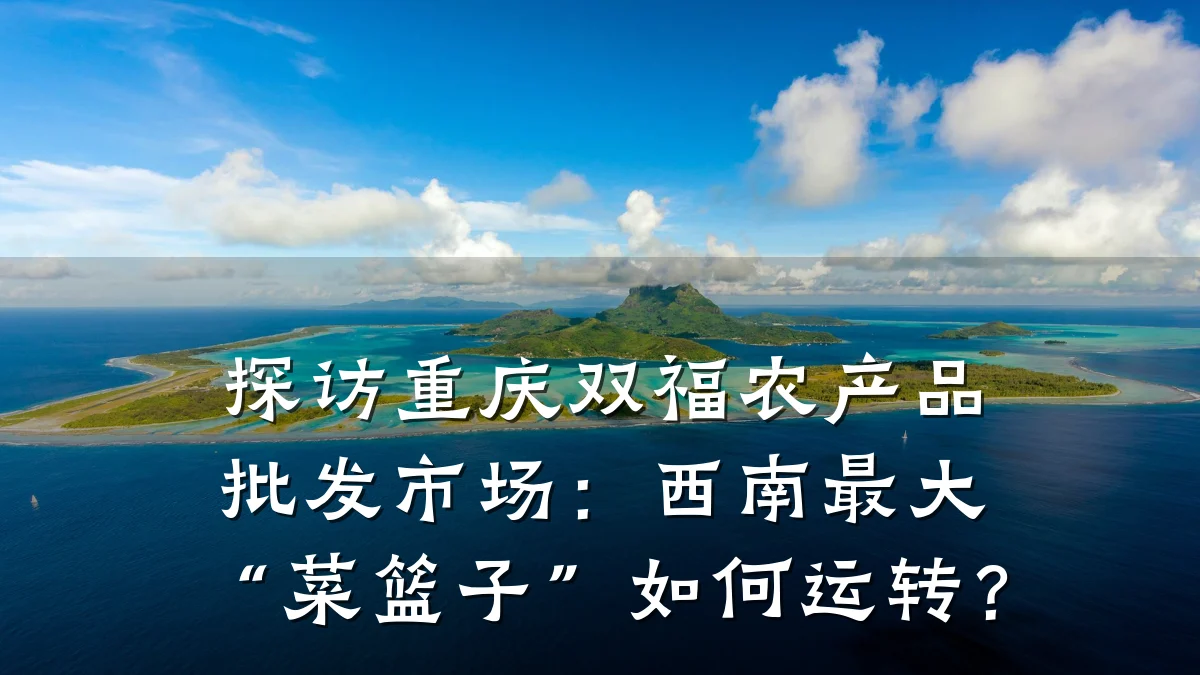 探访重庆双福农产品批发市场:西南最大“菜篮子”如何运转?