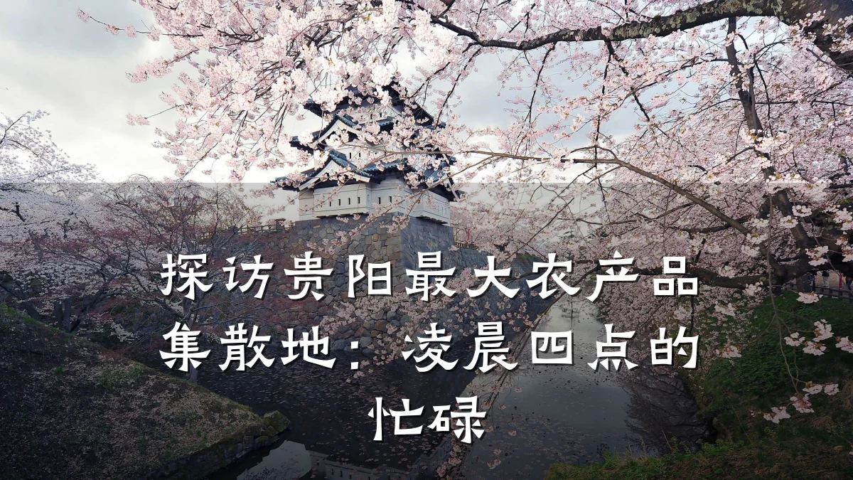 探访贵阳最大农产品集散地:凌晨四点的忙碌