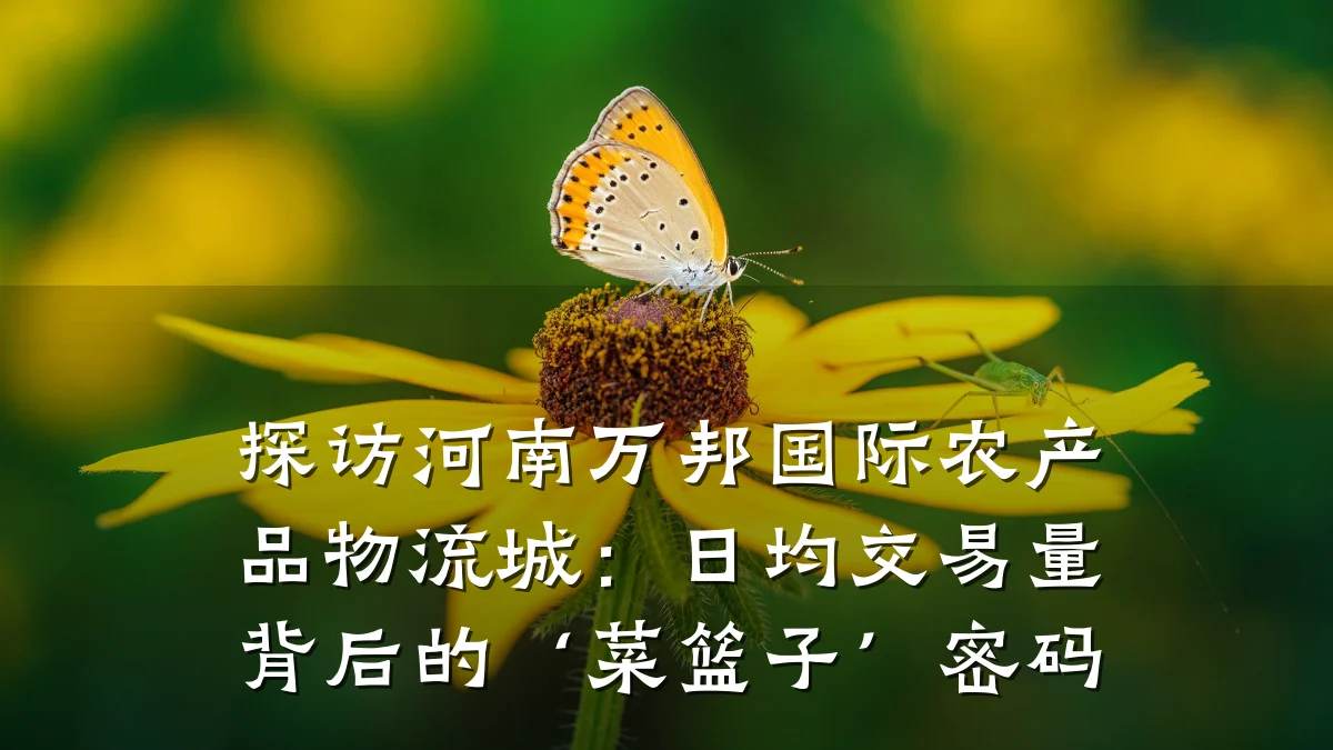 探访河南万邦国际农产品物流城:日均交易量背后的‘菜篮子’密码