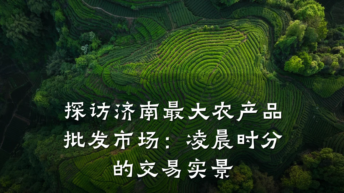 探访济南最大农产品批发市场:凌晨时分的交易实景