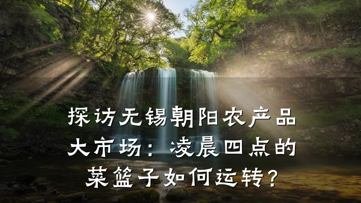 探访无锡朝阳农产品大市场:凌晨四点的菜篮子如何运转?
