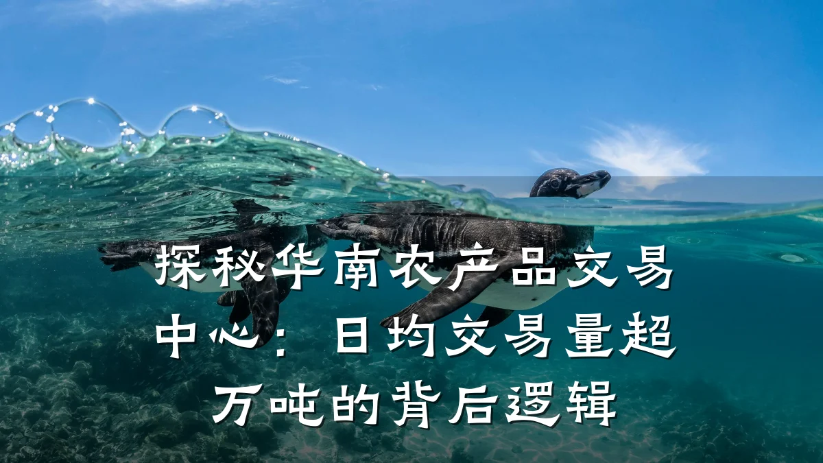 探秘华南农产品交易中心:日均交易量超万吨的背后逻辑