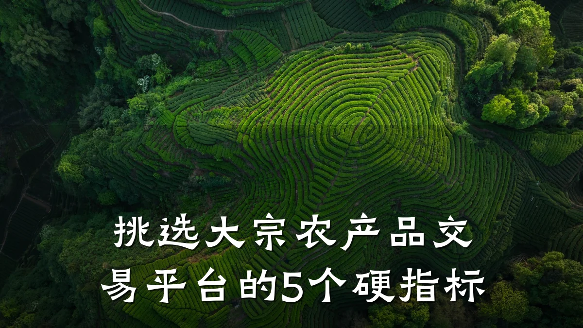挑选大宗农产品交易平台的5个硬指标