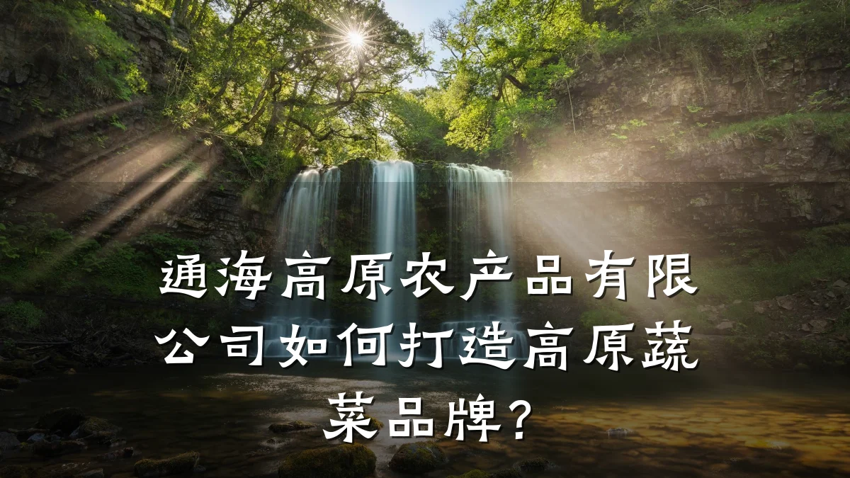 通海高原农产品有限公司如何打造高原蔬菜品牌?
