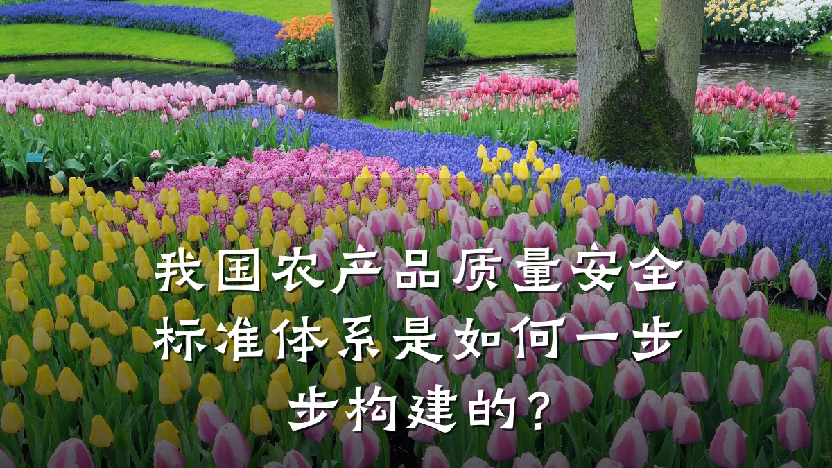 我国农产品质量安全标准体系是如何一步步构建的?