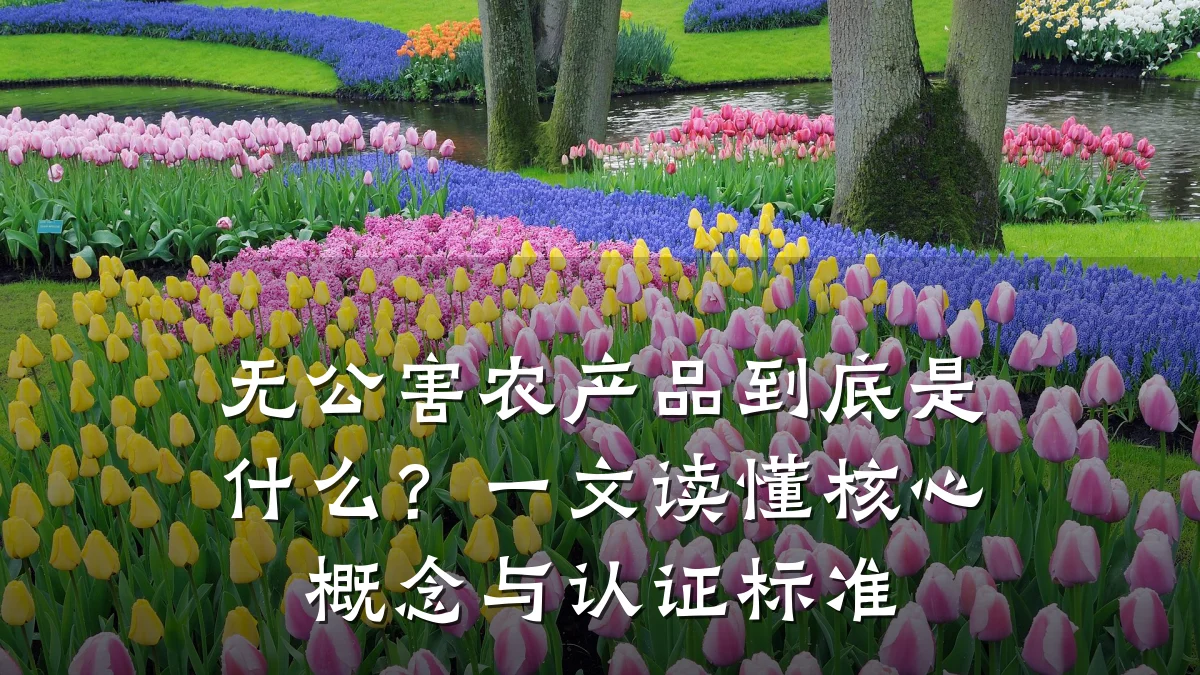 无公害农产品到底是什么?一文读懂核心概念与认证标准