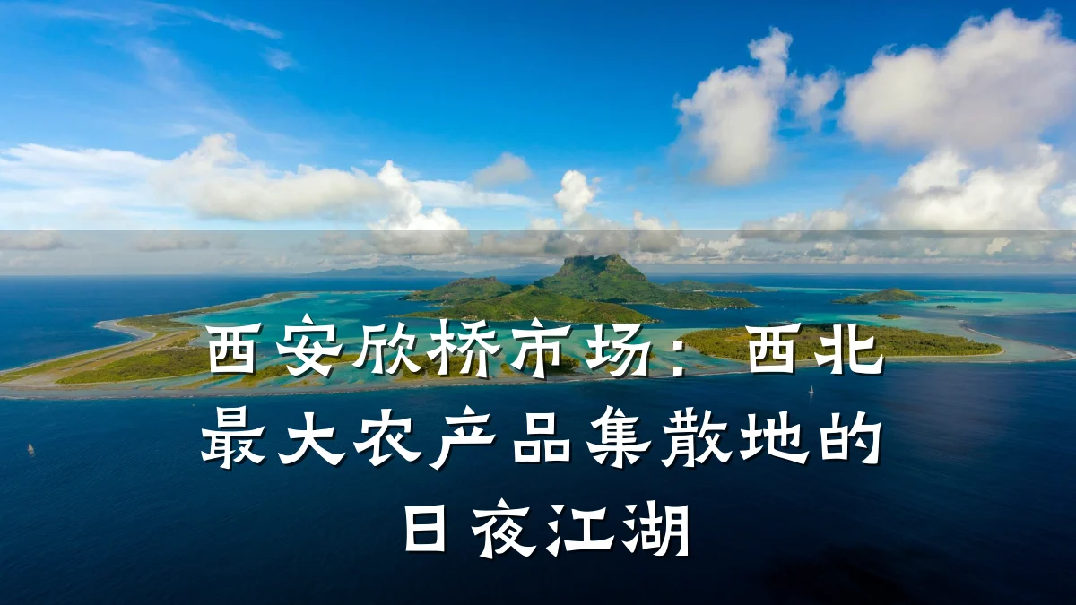 西安欣桥市场:西北最大农产品集散地的日夜江湖