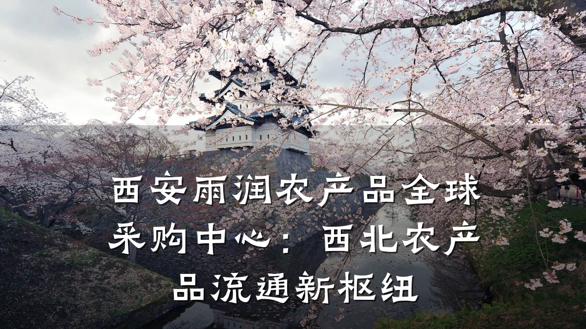 西安雨润农产品全球采购中心:西北农产品流通新枢纽