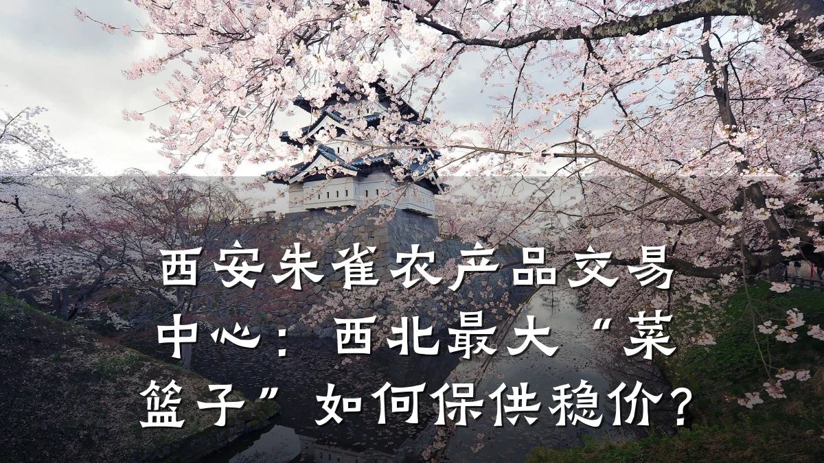 西安朱雀农产品交易中心:西北最大“菜篮子”如何保供稳价?