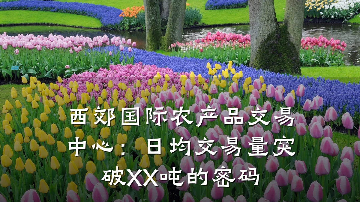 西郊国际农产品交易中心:日均交易量突破XX吨的密码