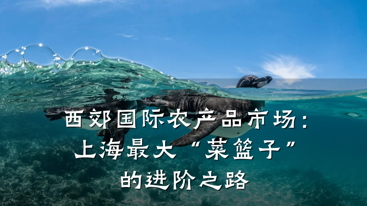 西郊国际农产品市场:上海最大“菜篮子”的进阶之路