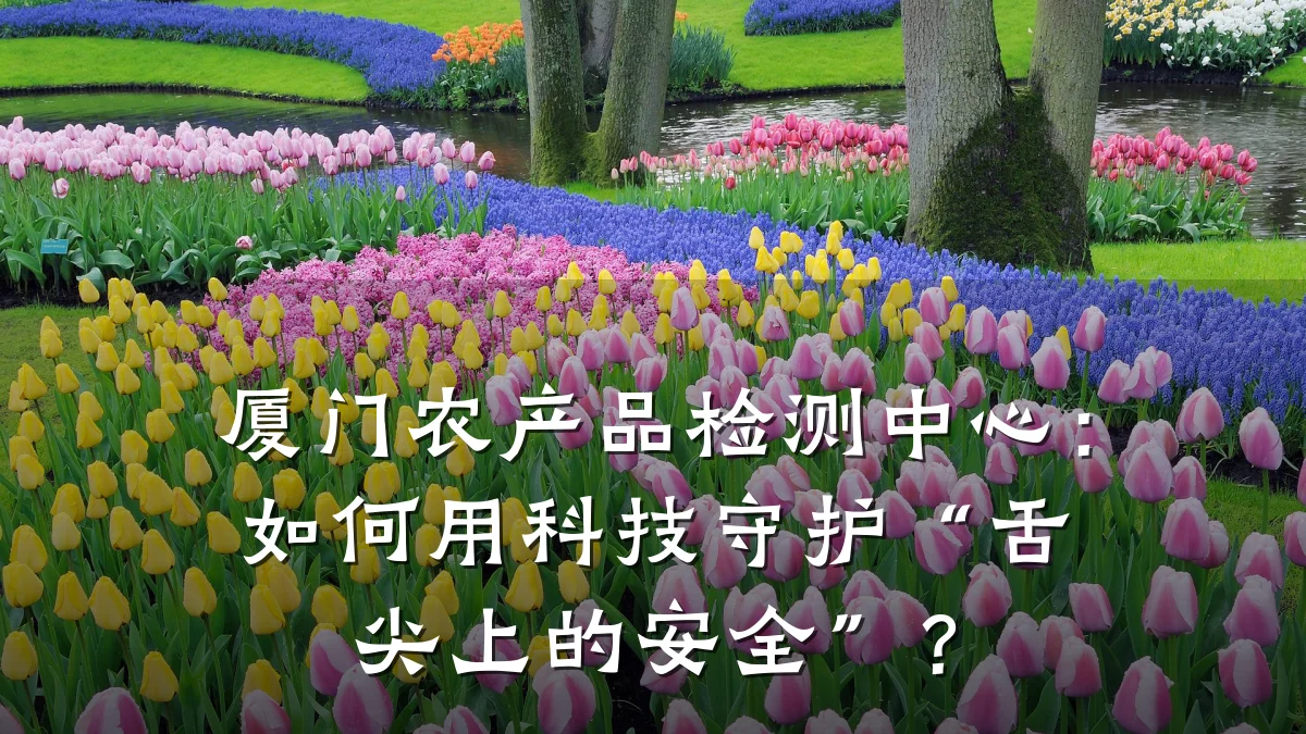 厦门农产品检测中心:如何用科技守护“舌尖上的安全”?