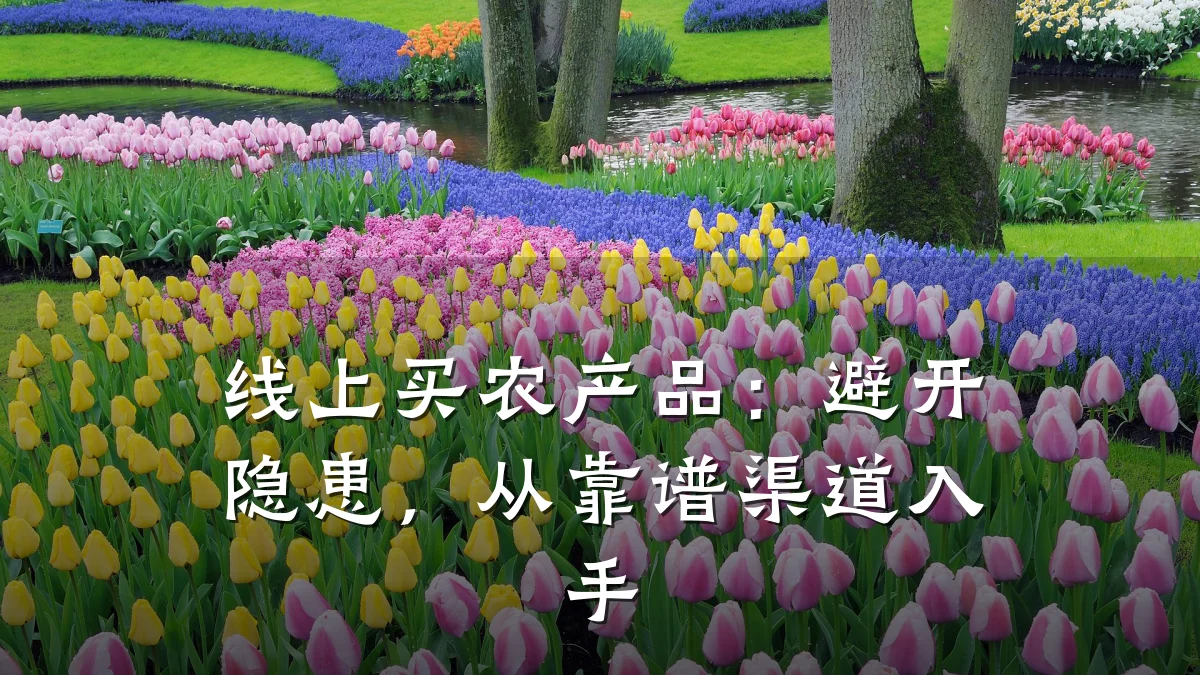 线上买农产品:避开隐患,从靠谱渠道入手