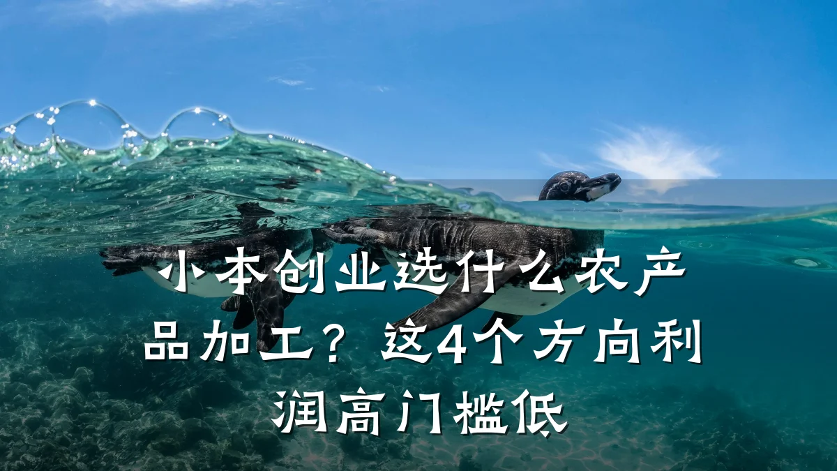 小本创业选什么农产品加工？这4个方向利润高门槛低