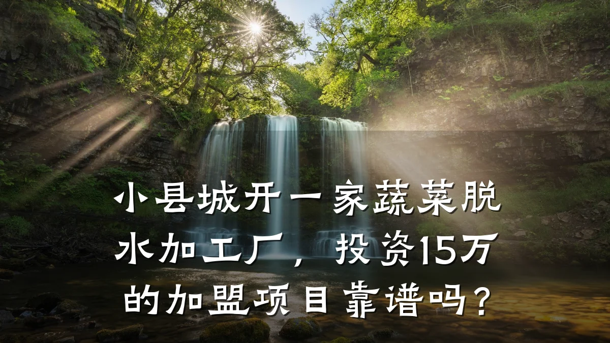 小县城开一家蔬菜脱水加工厂,投资15万的加盟项目靠谱吗?