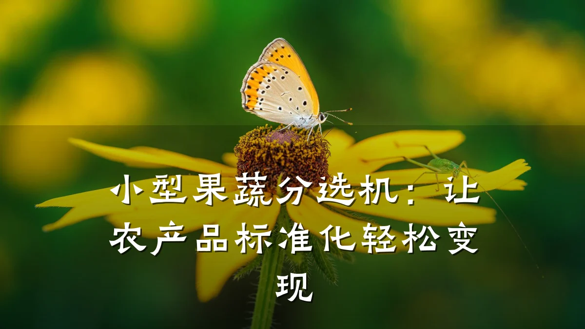 小型果蔬分选机:让农产品标准化轻松变现
