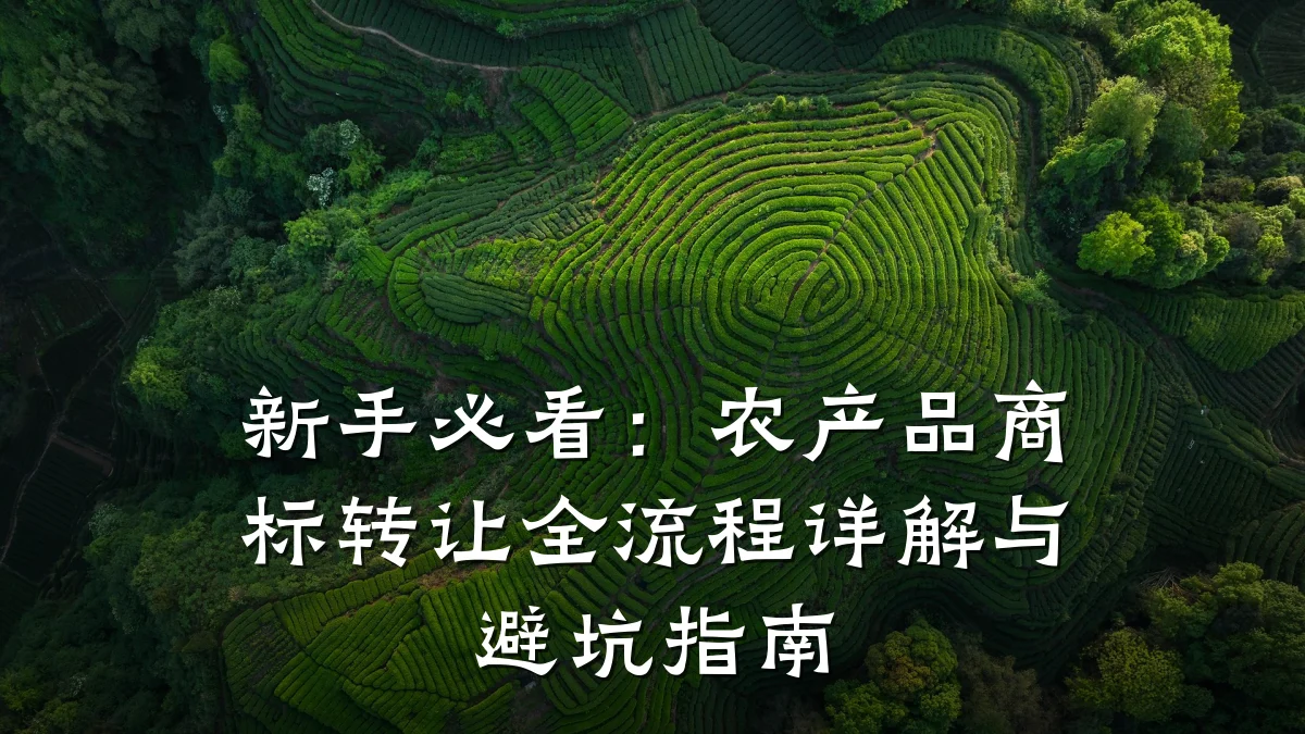 新手必看:农产品商标转让全流程详解与避坑指南