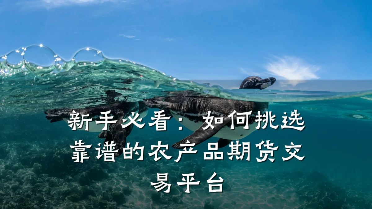 新手必看：如何挑选靠谱的农产品期货交易平台