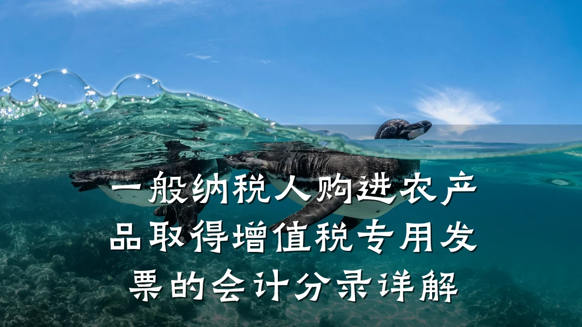 一般纳税人购进农产品取得增值税专用发票的会计分录详解