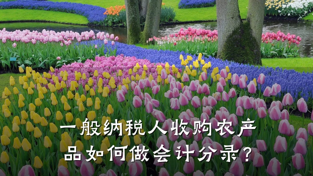一般纳税人收购农产品如何做会计分录?