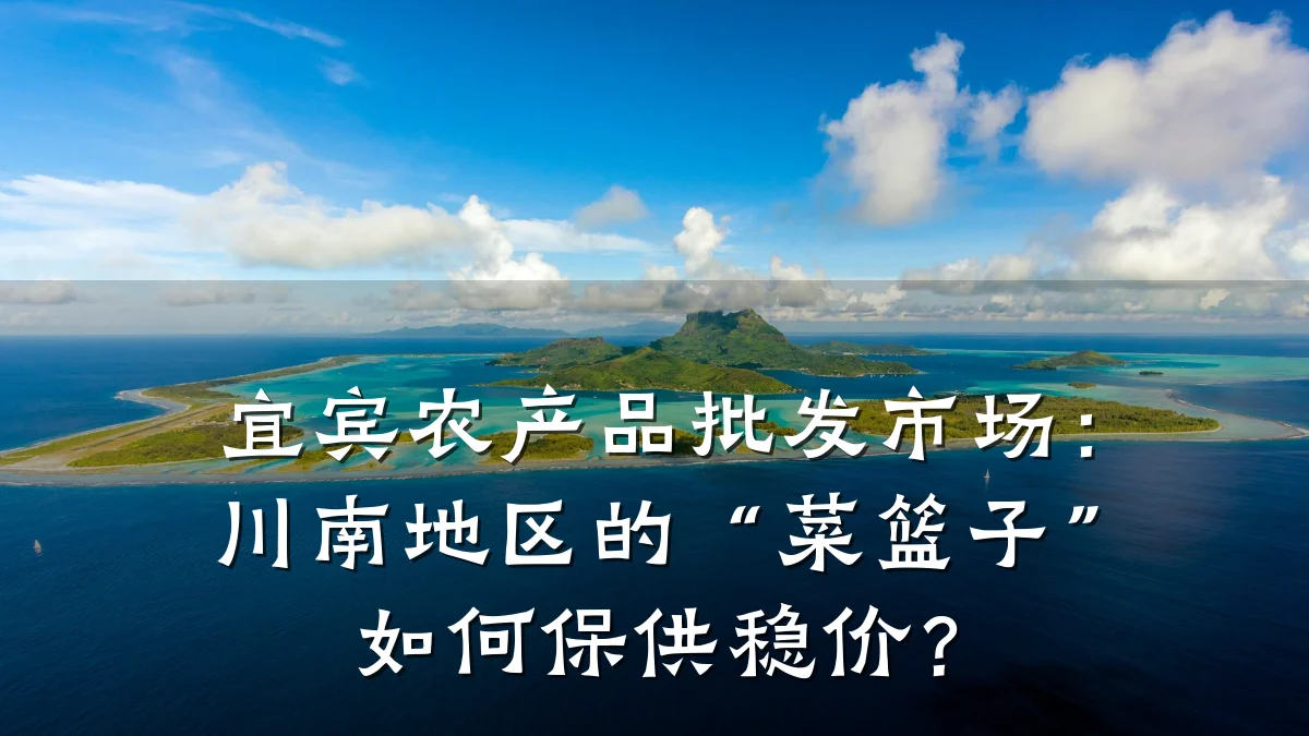 宜宾农产品批发市场:川南地区的“菜篮子”如何保供稳价?