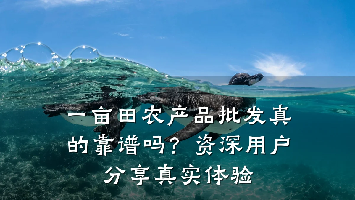 一亩田农产品批发真的靠谱吗？资深用户分享真实体验