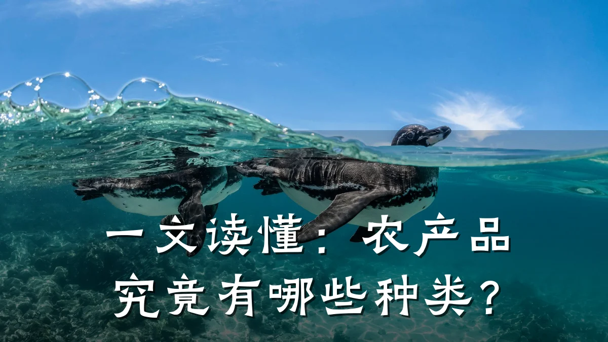 一文读懂:农产品究竟有哪些种类?