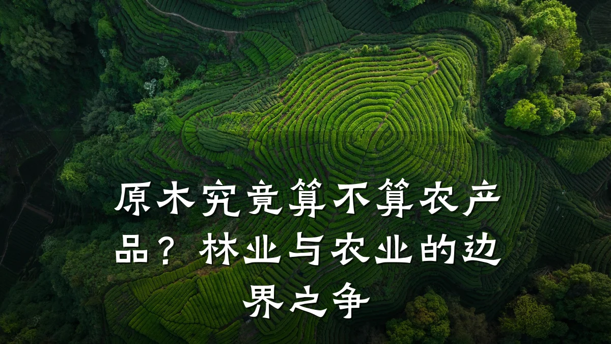 原木究竟算不算农产品?林业与农业的边界之争