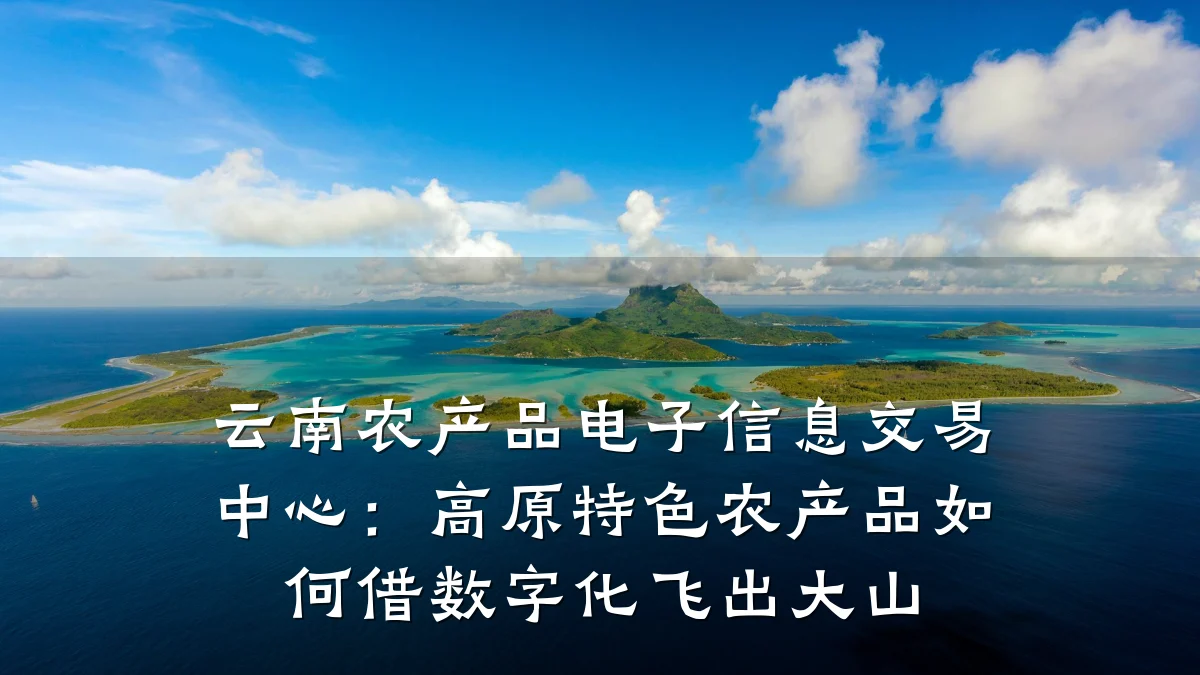云南农产品电子信息交易中心:高原特色农产品如何借数字化飞出大山