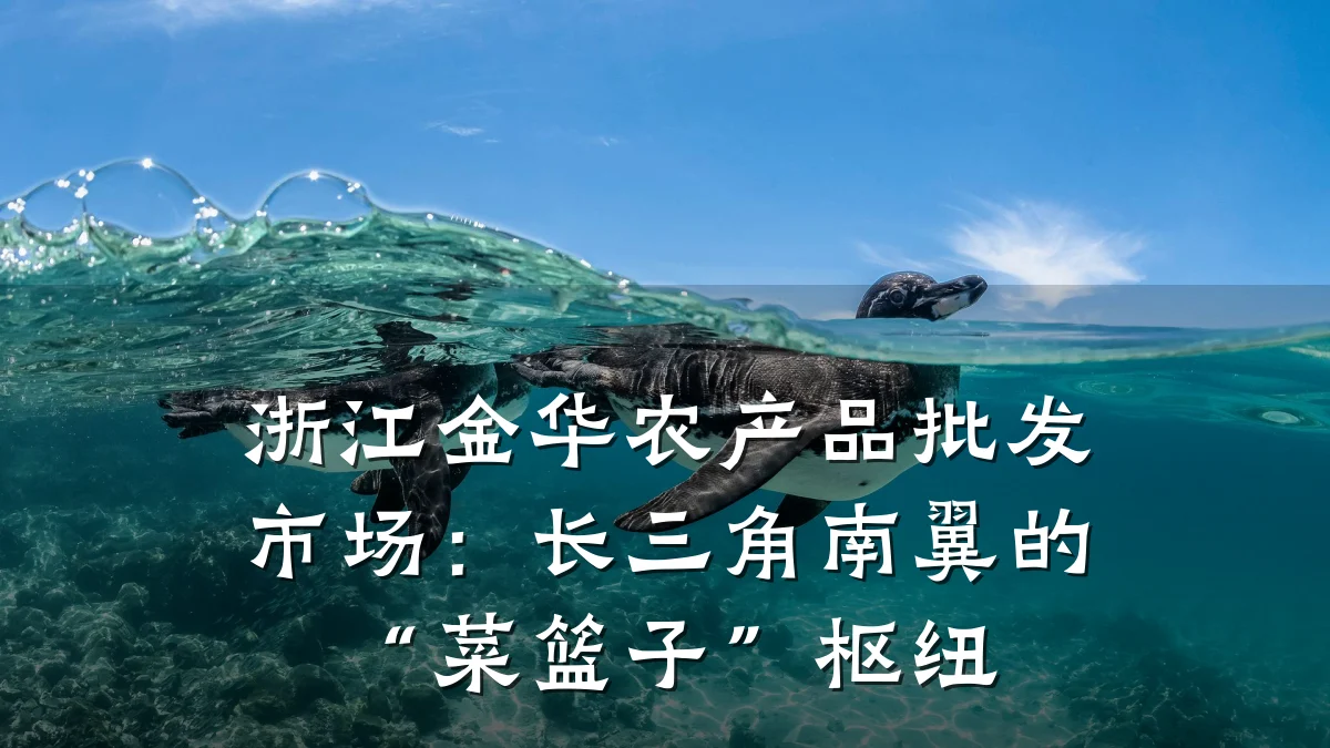 浙江金华农产品批发市场:长三角南翼的“菜篮子”枢纽