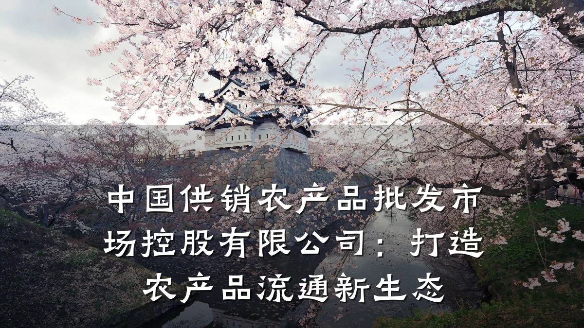 中国供销农产品批发市场控股有限公司:打造农产品流通新生态