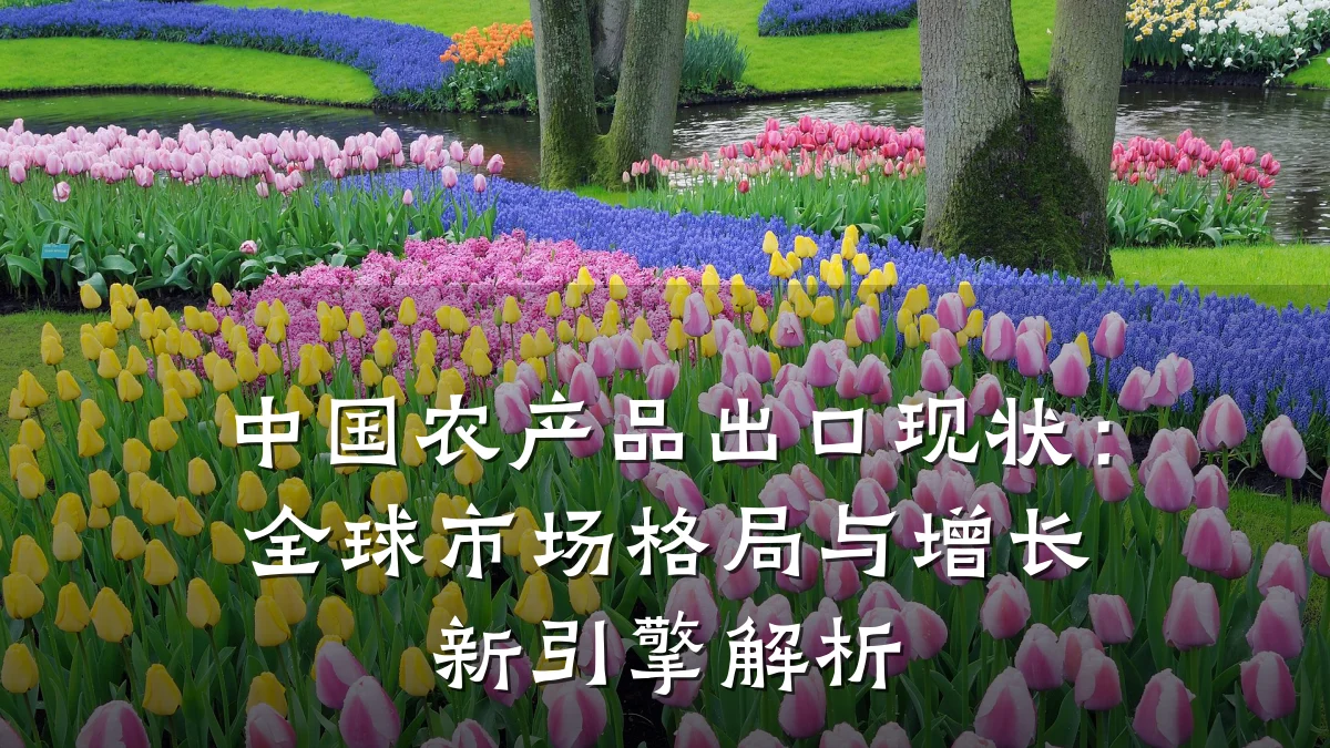 中国农产品出口现状:全球市场格局与增长新引擎解析