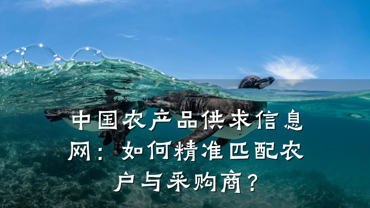 中国农产品供求信息网：如何精准匹配农户与采购商？