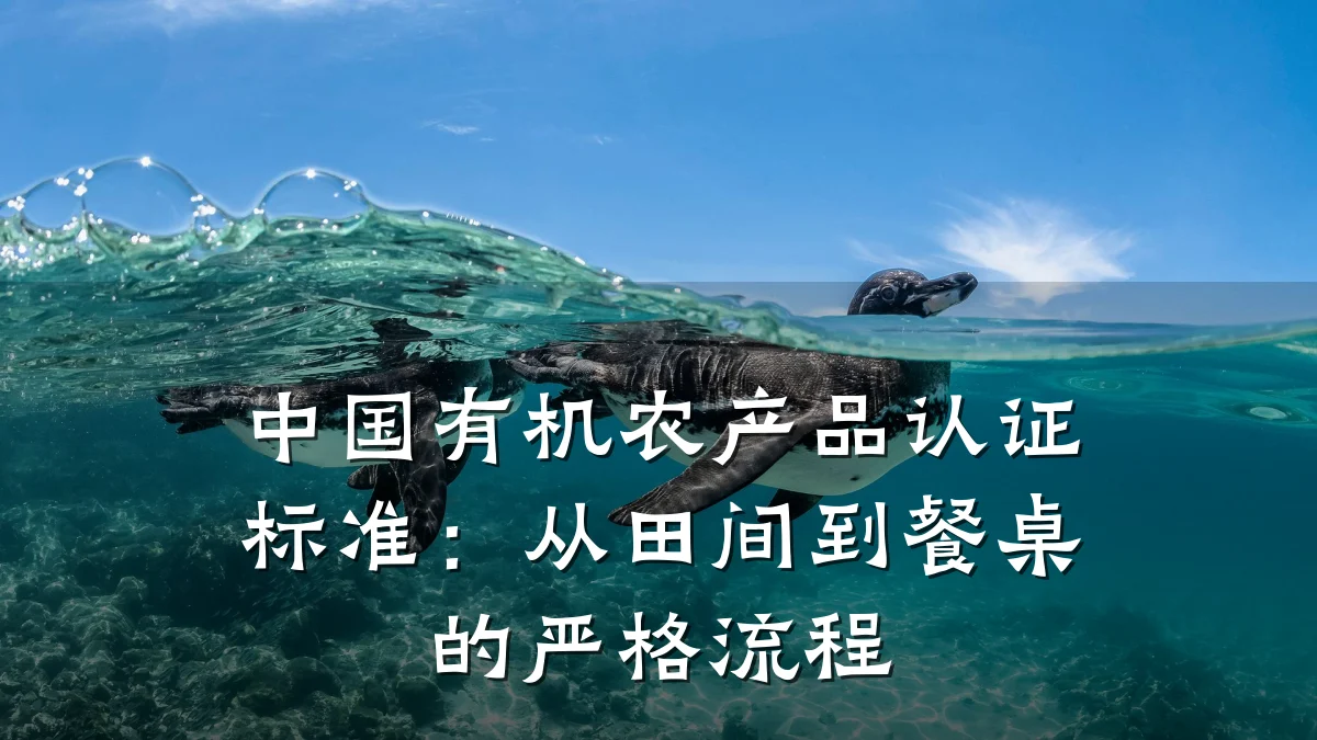 中国有机农产品认证标准:从田间到餐桌的严格流程