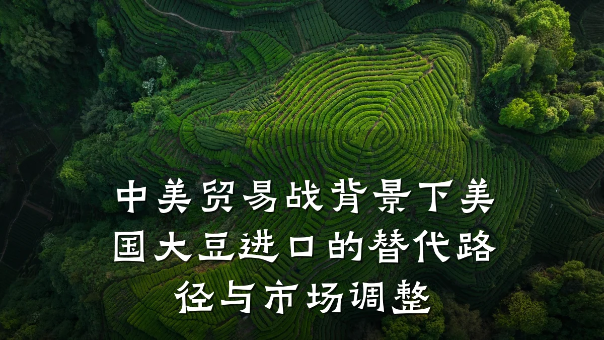 中美贸易战背景下美国大豆进口的替代路径与市场调整
