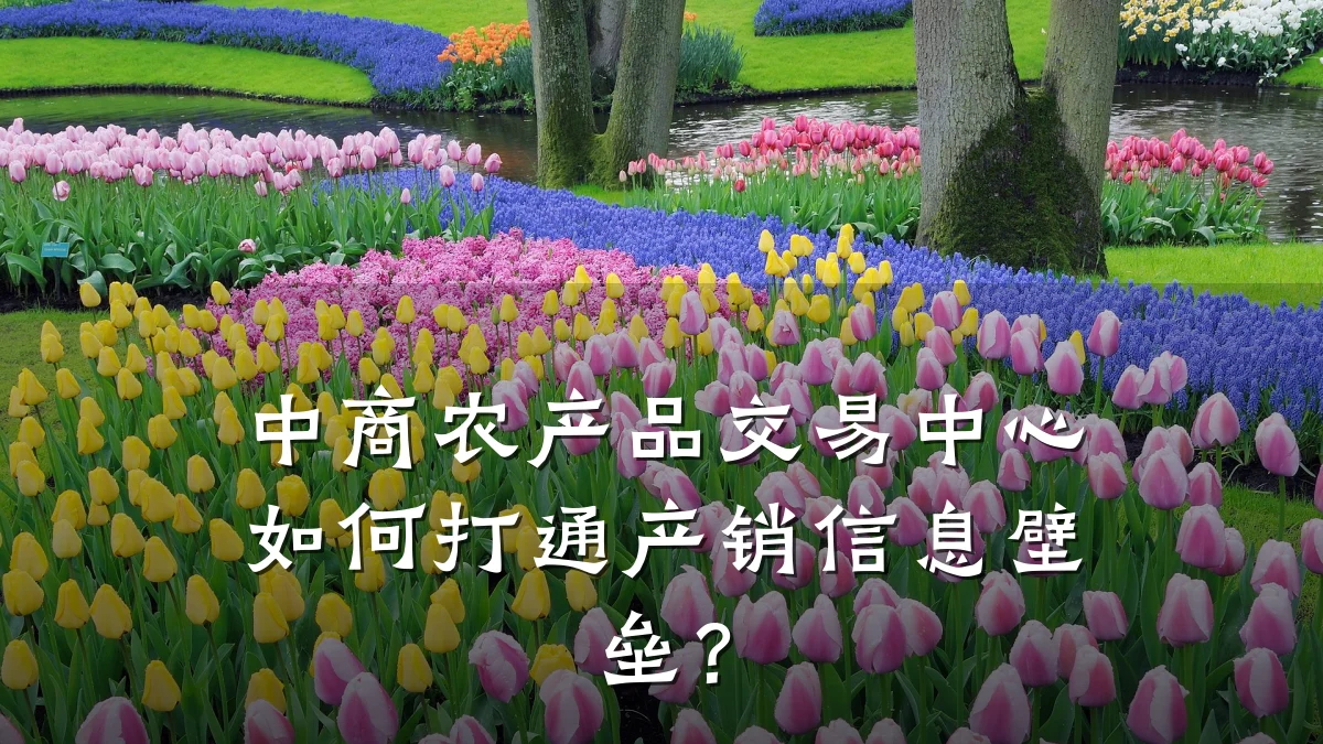 中商农产品交易中心如何打通产销信息壁垒?