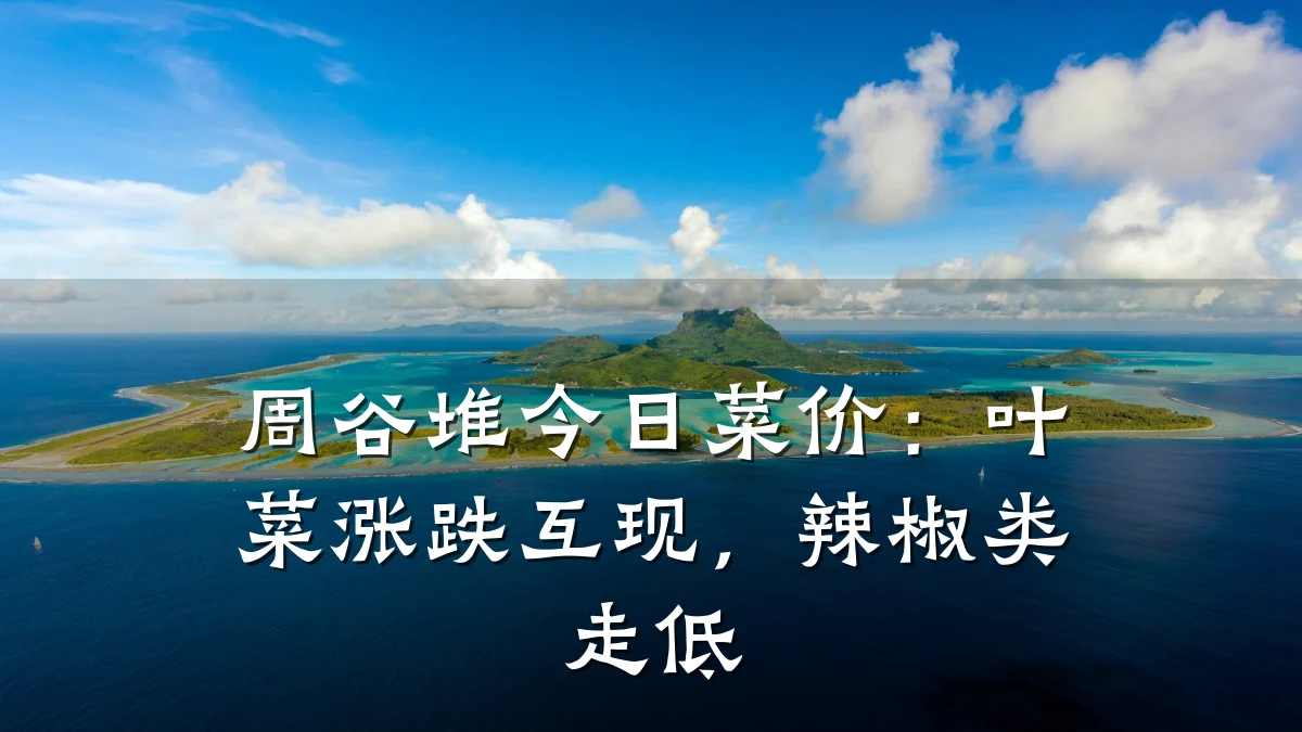 周谷堆今日菜价:叶菜涨跌互现,辣椒类走低
