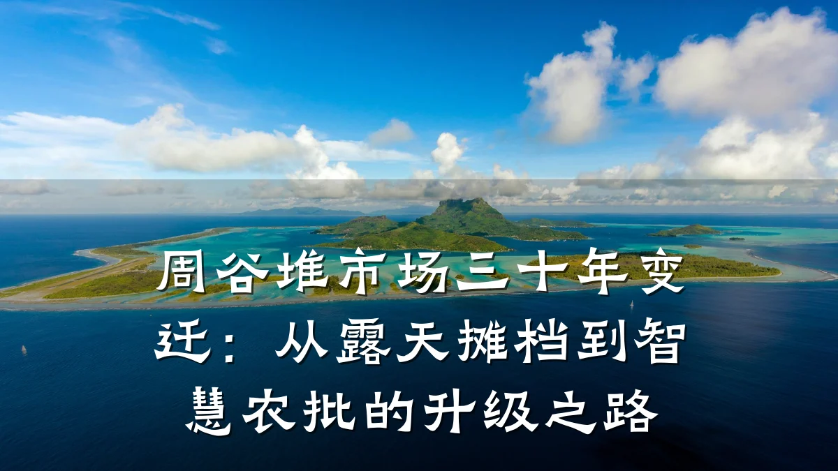 周谷堆市场三十年变迁:从露天摊档到智慧农批的升级之路