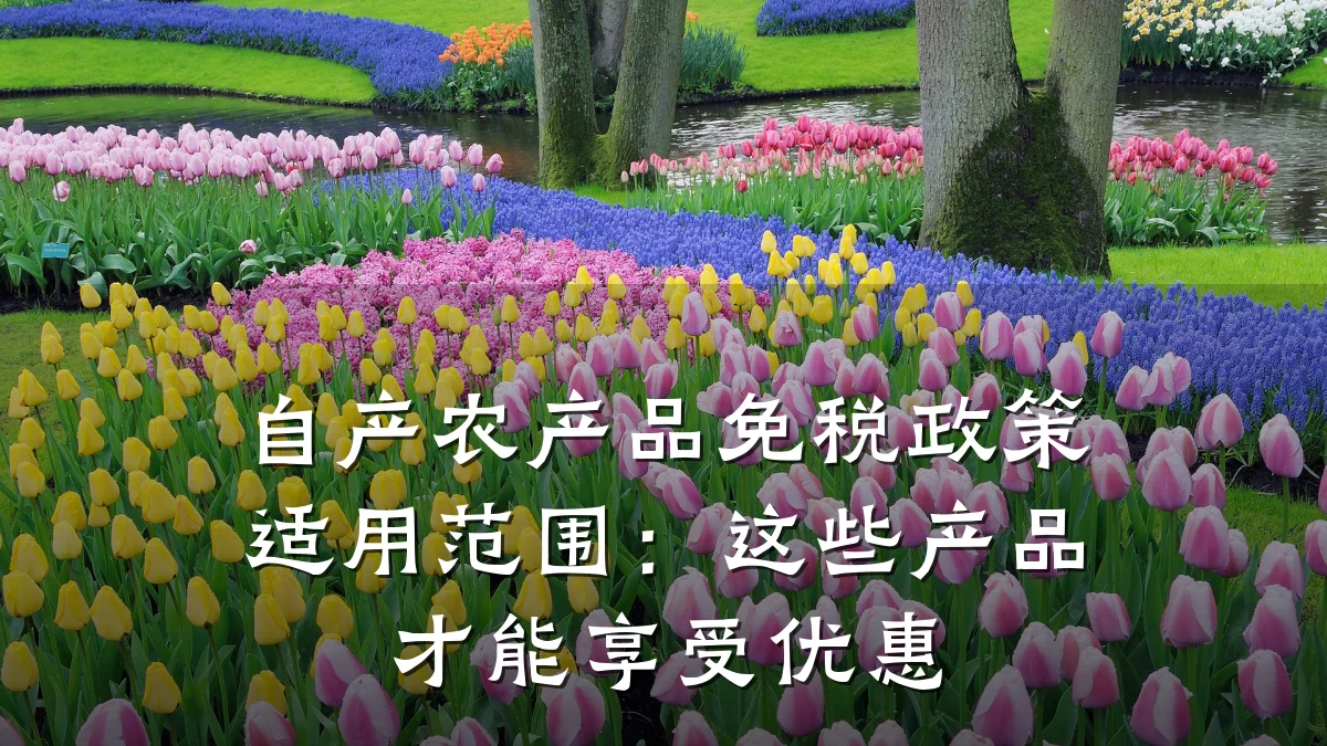 自产农产品免税政策适用范围:这些产品才能享受优惠