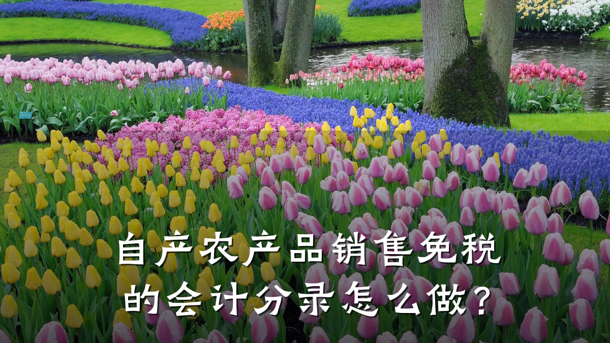 自产农产品销售免税的会计分录怎么做?