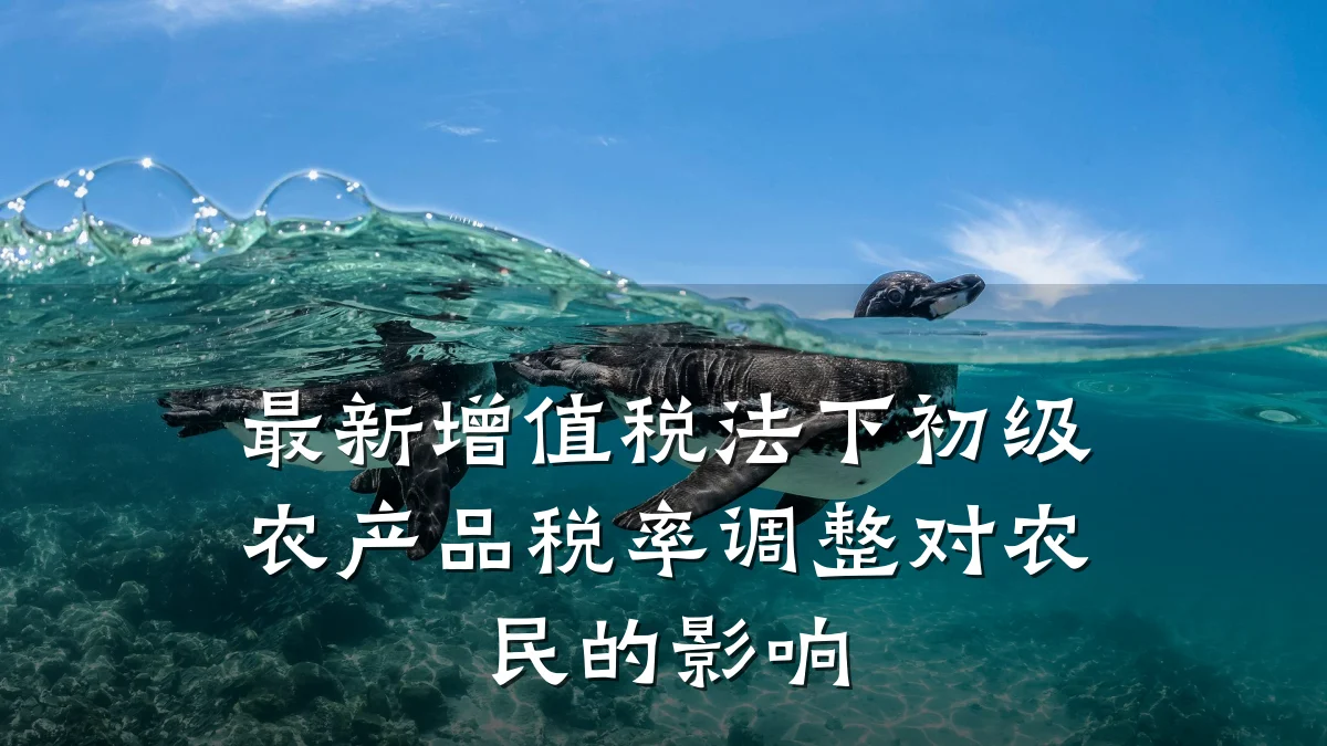 最新增值税法下初级农产品税率调整对农民的影响