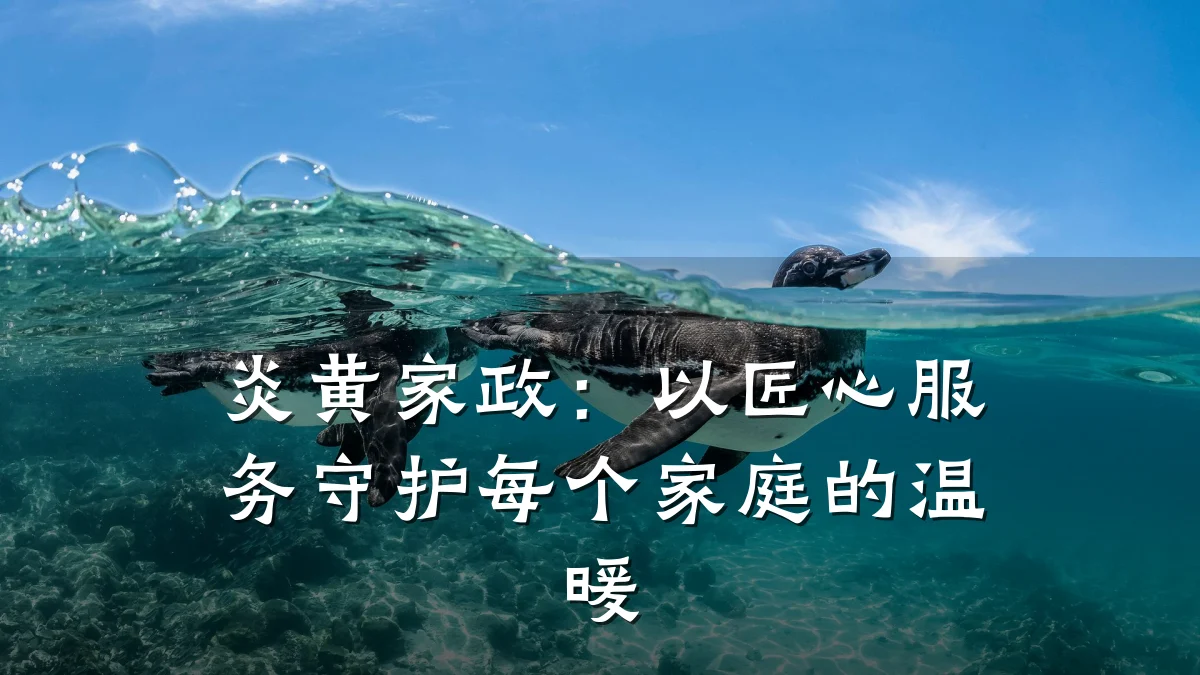 炎黄家政:以匠心服务守护每个家庭的温暖