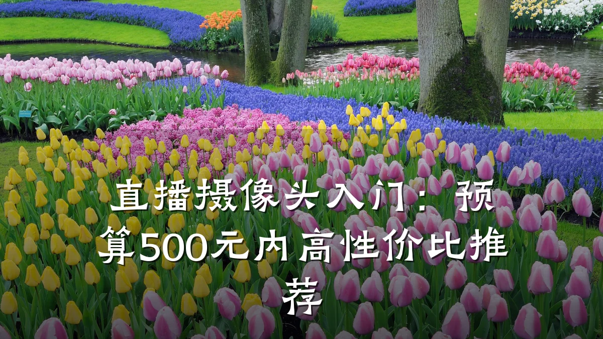 直播摄像头入门:预算500元内高性价比推荐