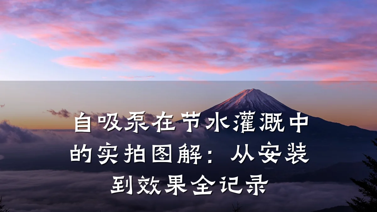 自吸泵在节水灌溉中的实拍图解:从安装到效果全记录