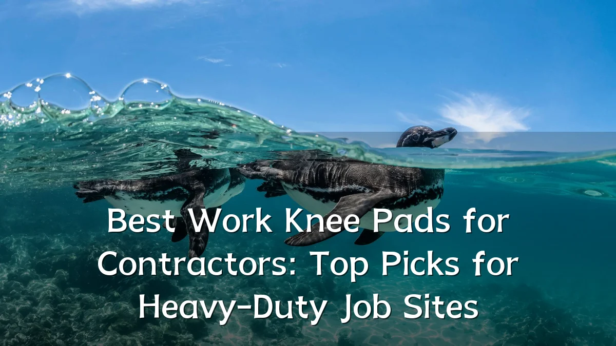 Best Work Knee Pads for Contractors: Top Picks for Heavy-Duty Job Sites