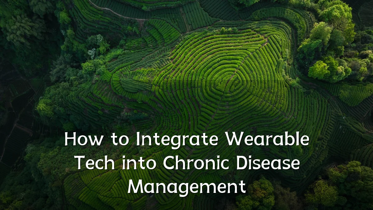 How to Integrate Wearable Tech into Chronic Disease Management