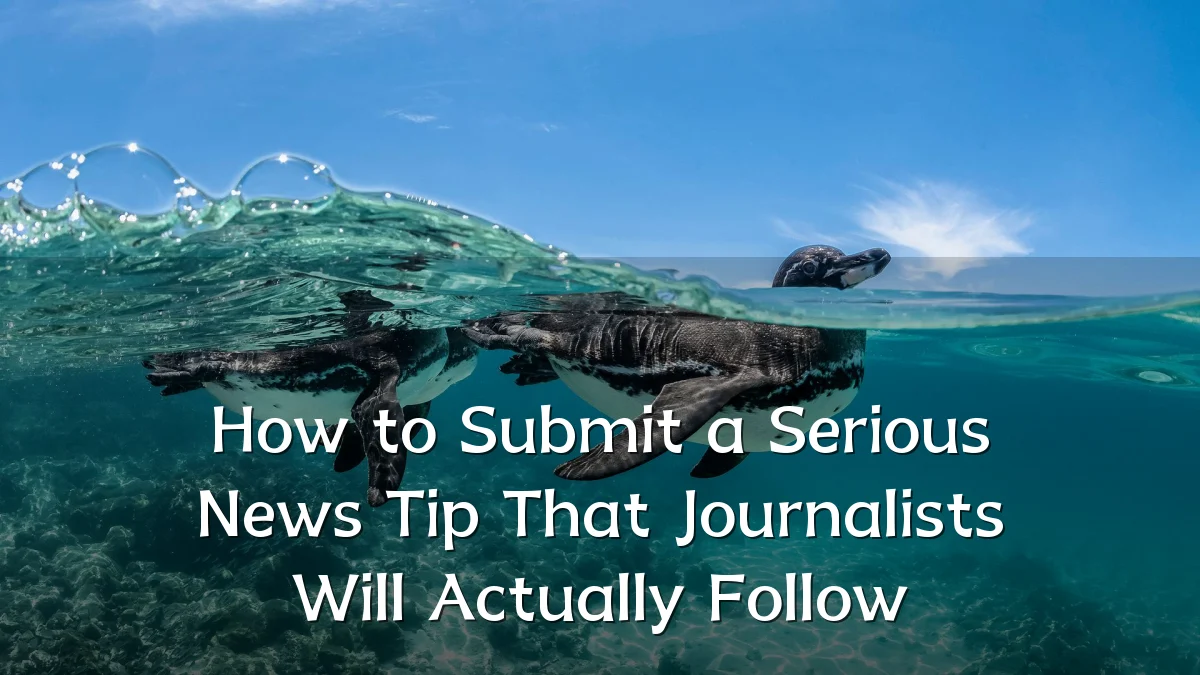 How to Submit a Serious News Tip That Journalists Will Actually Follow